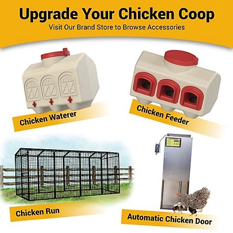 OverEZ Chicken Coop Chicken Feeder