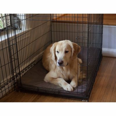 Snoozer Pet Luxury Forgiveness Dog Crate Pad