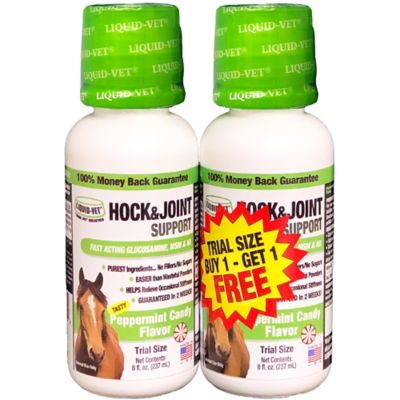 Liquid Vet Equine Hock Joint Support Formula Peppermint 8 Oz Trial Size Bogo Pack Lvhjs Pe Bg 02pk 8 Oz At Tractor Supply Co