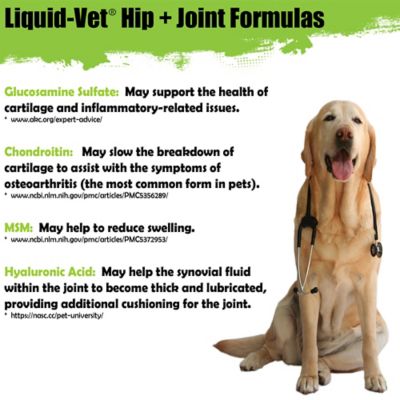 Image showing  K9 Chicken Flavor Hip and Joint Supplement for Dogs, 8 oz., 2 ct.