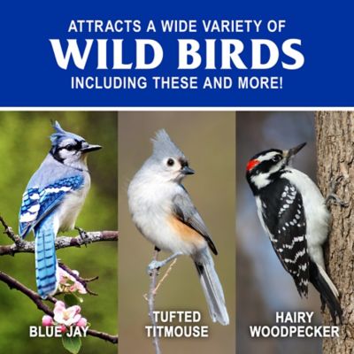 Image showing  Fruit and Nut Mix Wild Bird Food