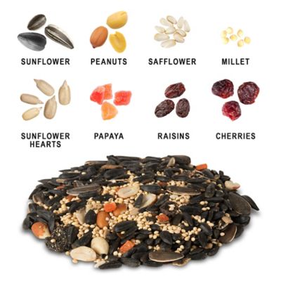 Image showing  Fruit and Nut Mix Wild Bird Food