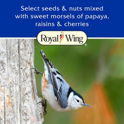 Image showing  Fruit and Nut Mix Wild Bird Food