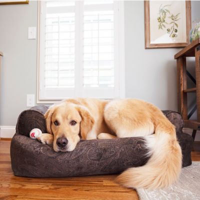 overstuffed sofa