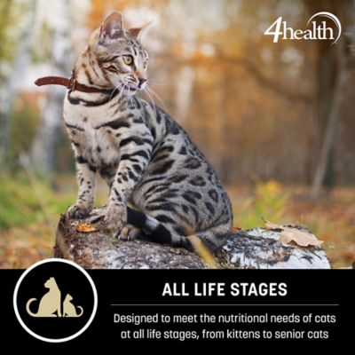 Image showing  Deep Woods All Life Stages Indoor Grain-Free Turkey and Lentils Formula Dry Cat Food