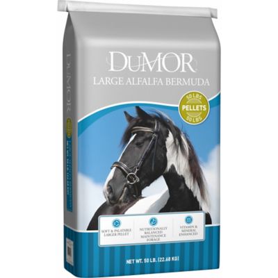 DuMOR Large Alfalfa Bermuda Horse Feed Pellets, 50 lb.