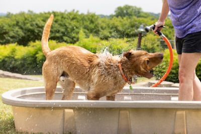Image showing  70 gal. Round End Sheep Stock Tank