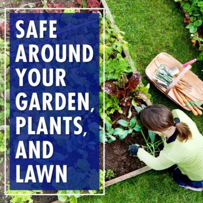 Image showing  2.5 gal. Outdoor Cleaner