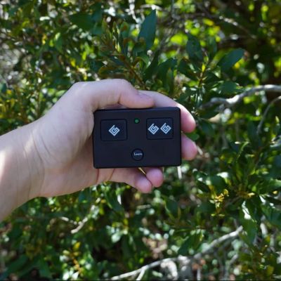 Image showing  Standard 3-Button Gate Remote