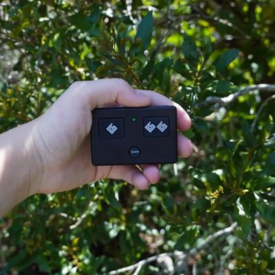 Image showing  Standard 3-Button Gate Remote