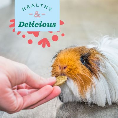 Image showing  Natural Science Digestive Pet Supplement