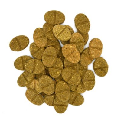 Image showing  Natural Science Vitamin C Chewable Supplement Tablets for Small Pets, 4.2 oz.