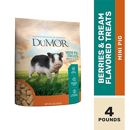 DuMOR Mini Pig Treats, 4 lb.