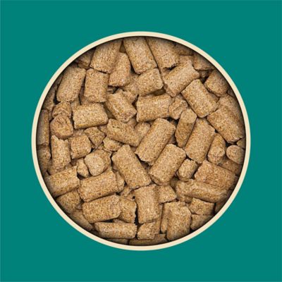 Image showing  Berries-and-Cream Flavor Mini Pig Treats, 4 lb.