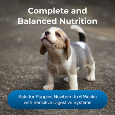 Image showing  Goat's Milk Esbilac Powder, 5.25 oz.