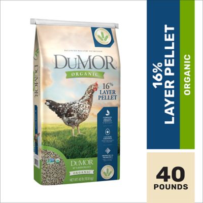 DuMOR Organic 16% Layer Pelleted Chicken Feed, 40 lb. Bag