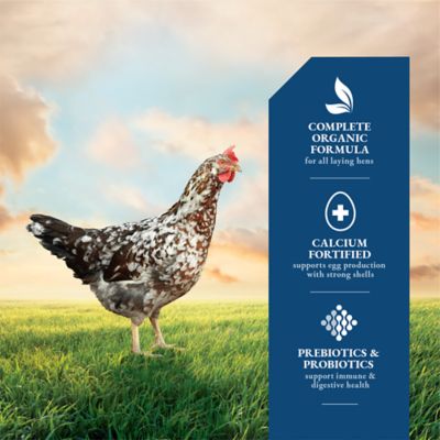 Image showing  Organic 16% Layer Pelleted Chicken Feed, 40 lb. Bag