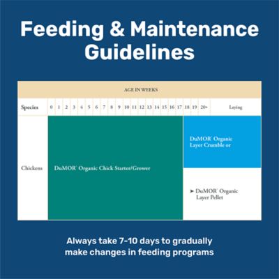 Image showing  Organic 16% Layer Pelleted Chicken Feed, 40 lb. Bag