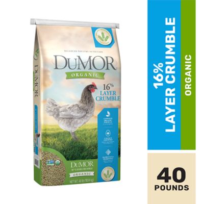 DuMOR Organic 16% Egg Layer Crumbled Chicken Feed, 40 lb. Bag