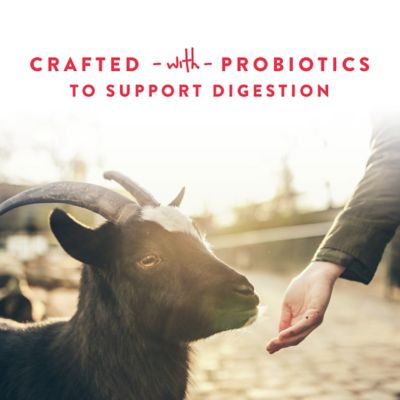 Image showing  Apple Goat Treats with Probiotics, 5 lb.