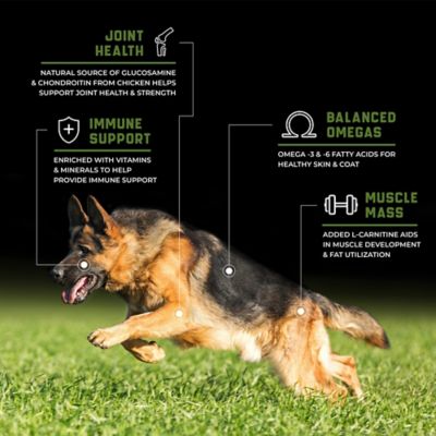 Image showing  CanineX All Life Stages Performance Grain-Free Chicken Recipe Dry Dog Food, 40 lb. Bag