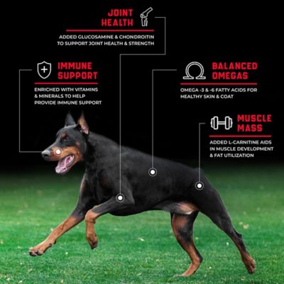 Image showing  CanineX Adult Performance Grain-Free Beef Recipe Dry Dog Food, 40 lb. Bag