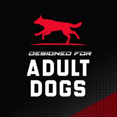 Image showing 5 th Sportmix CanineX Adult Performance Grain-Free Beef Recipe Dry Dog Food, 40 lb. Bag