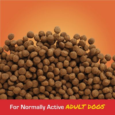 Image showing  Adult 21/8 Performance Formula Bite Size Meat Meal Recipe Dry Dog Food