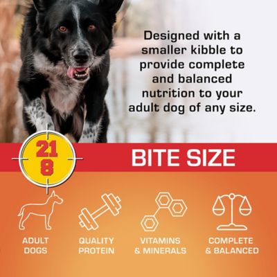 Image showing  Adult 21/8 Performance Formula Bite Size Meat Meal Recipe Dry Dog Food