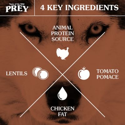 Image showing  Adult Grain-Free Limited Ingredient Turkey Recipe Dry Dog Food