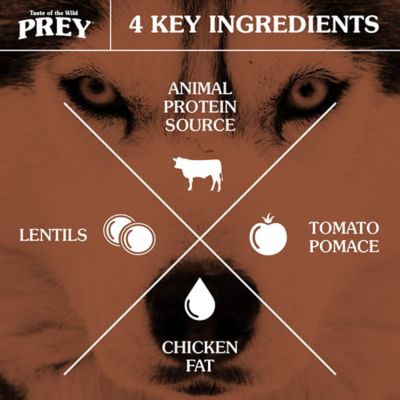 Image showing  Adult Grain-Free Limited Ingredient Angus Beef Recipe Dry Dog Food