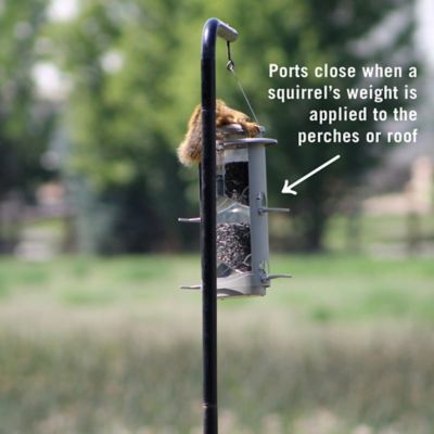 Swivel Extension Bird Feeder Squirrel Baffle Feeders Turns w Plant Extender Hook 