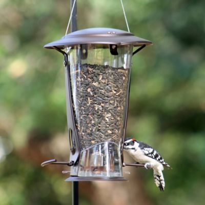 Image showing  4 lb. X-2 Squirrel-Proof Bird Feeder