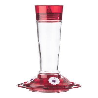 More Birds Bird Health+ Hummingbird Feeder, 10 oz. Capacity, Ruby