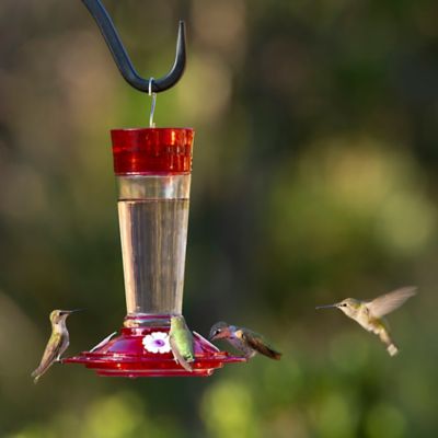 More Birds 501 Hummingbird Replacement Flowers for Hummingird Feeder 