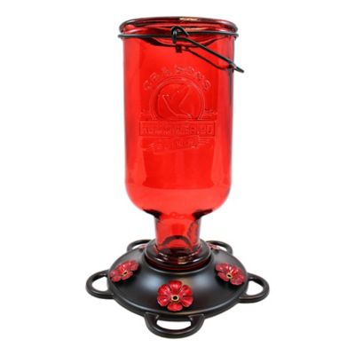 More Birds Hummingbird Elixir Feeder, 13 oz. Capacity