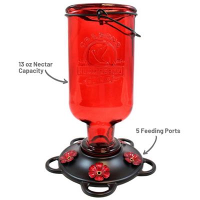 Image showing  13 oz. Hummingbird Elixir Feeder