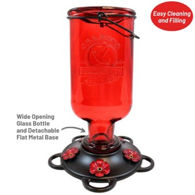 Image showing  13 oz. Hummingbird Elixir Feeder