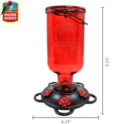 Image showing 6 th More Birds 13 oz. Hummingbird Elixir Feeder