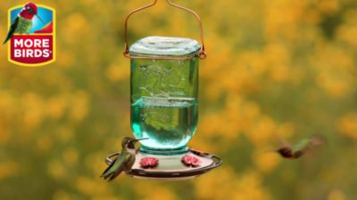 Image showing  25 oz. Mason Jar Hummingbird Feeder