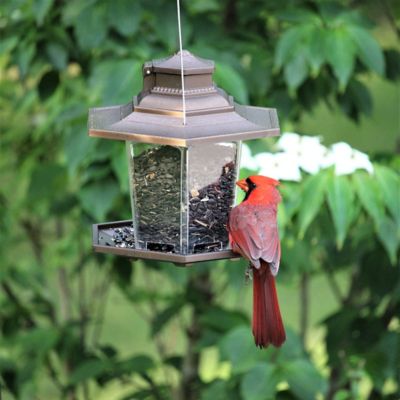 Image showing  2.6 lb. Lantern Bird Feeder, Small