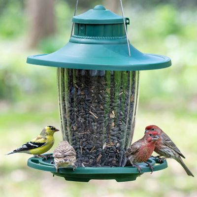 Image showing  3.8 lb. Lantern Bird Feeder, Large