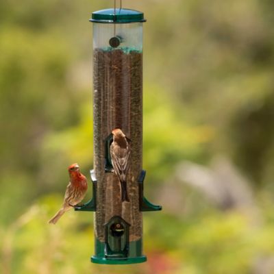 Image showing  3.3 lb. Jumbo Seed Songbird Bird Feeder