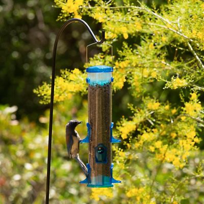 Image showing  3.3 lb. Jumbo Seed Songbird Bird Feeder