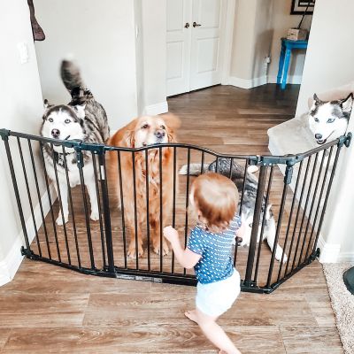 Image showing  Extra Wide Windsor Arch Walk-Through Steel Pet Gate, 38.3 in. to 72 in. W