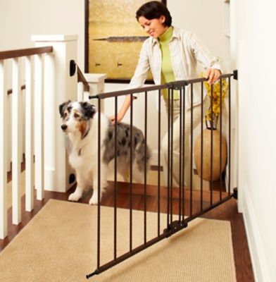 Big lots pet gate best sale