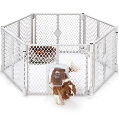 MyPet Petyard Passage 6-Panel Pet Exercise Pen Perfect for my 2 puppies, I bought a second one so they would have a larger place to run and play
