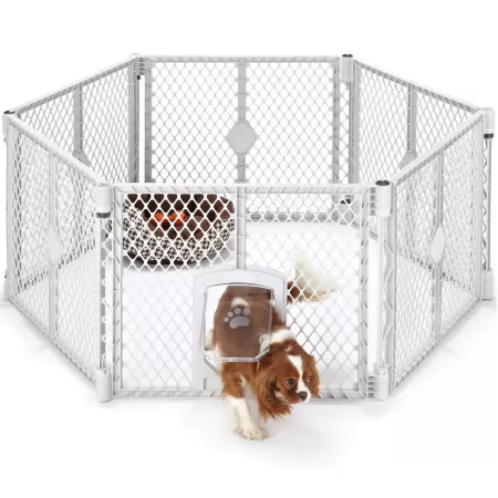 Petyard MyPet 6-Panel Passage Indoor/Outdoor Pet Exercise Pen 26 in. Pet Exercise Pens