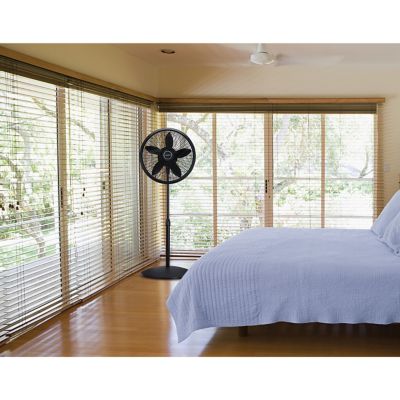 Image showing  18 in. Adjustable Elegance and Performance Pedestal Fan, Black