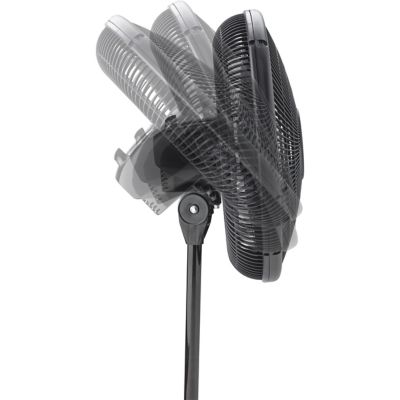 Image showing  16 in. Oscillating Stand Fan, Black